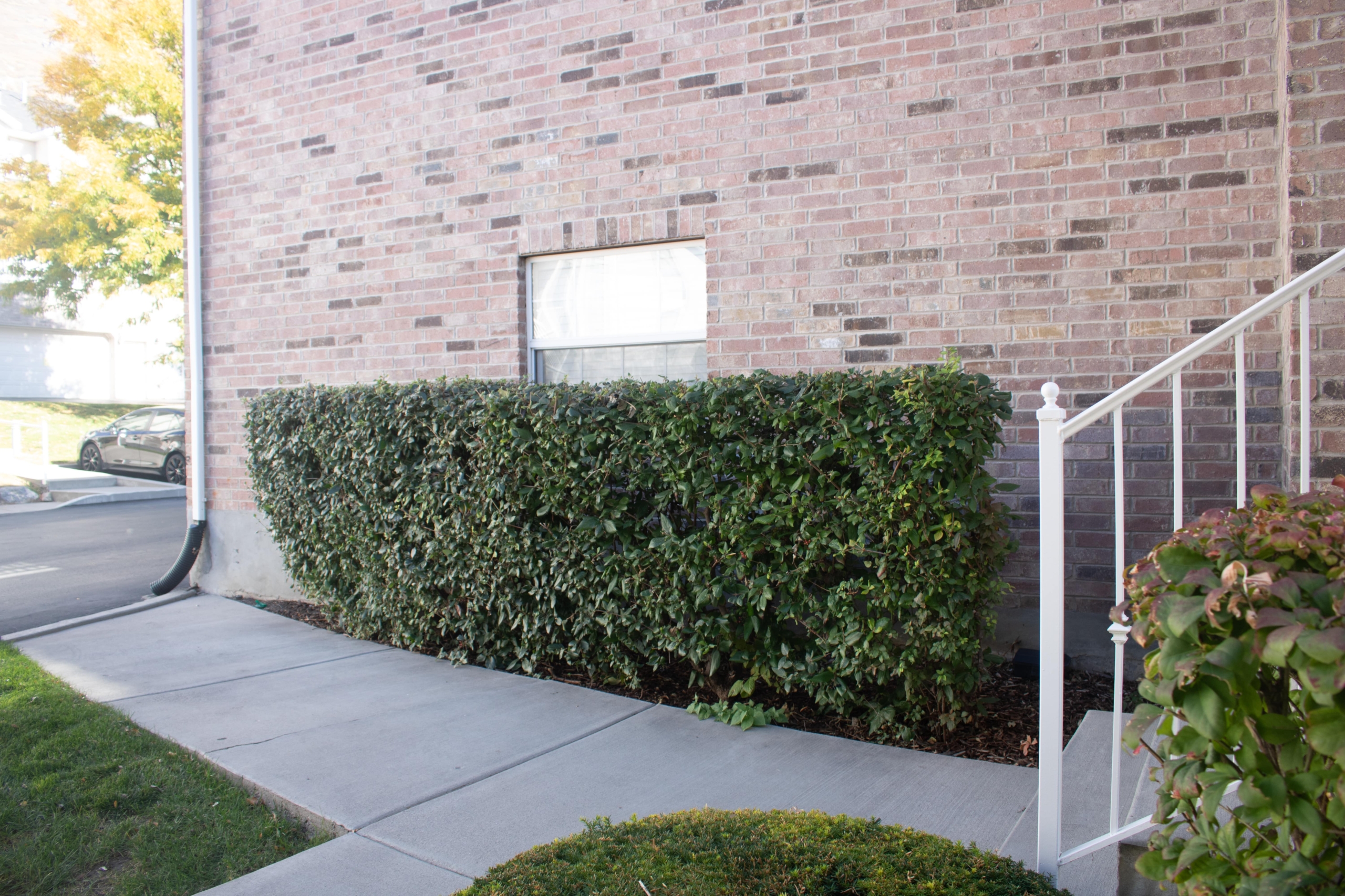 Arlington Place Townhomes community photo 8