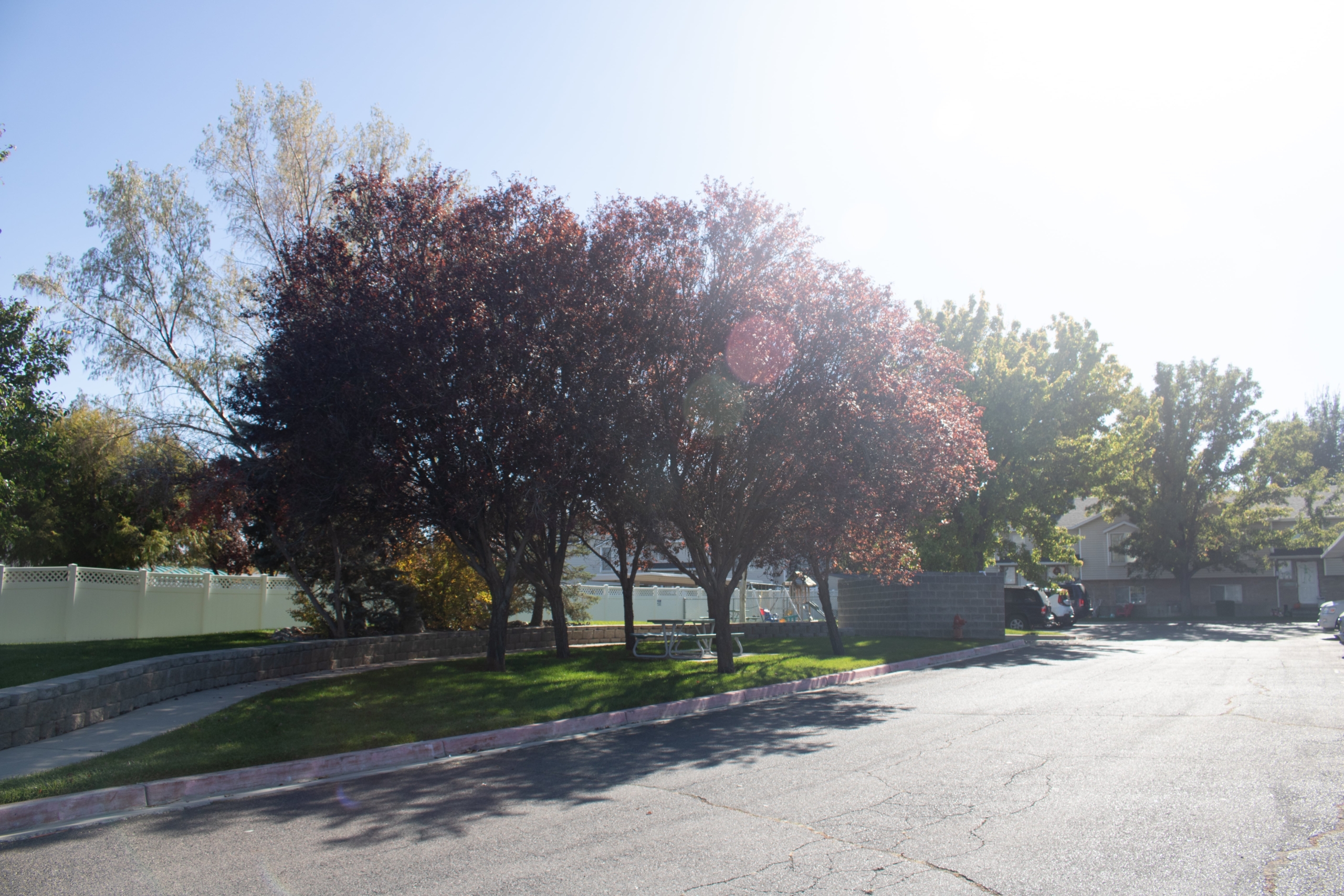 Parkview Terrace community photo 5