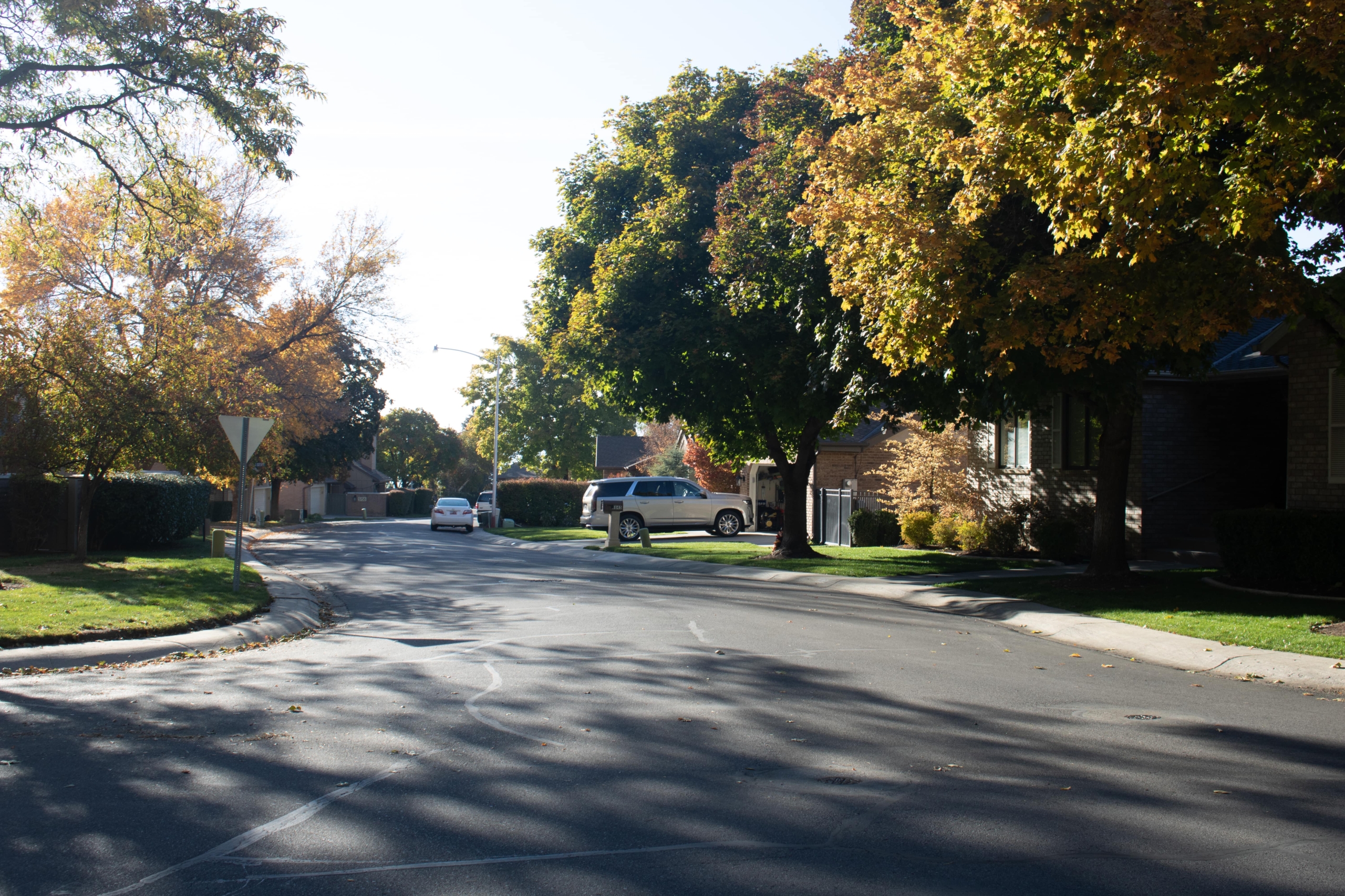 Quail Valley community photo 4