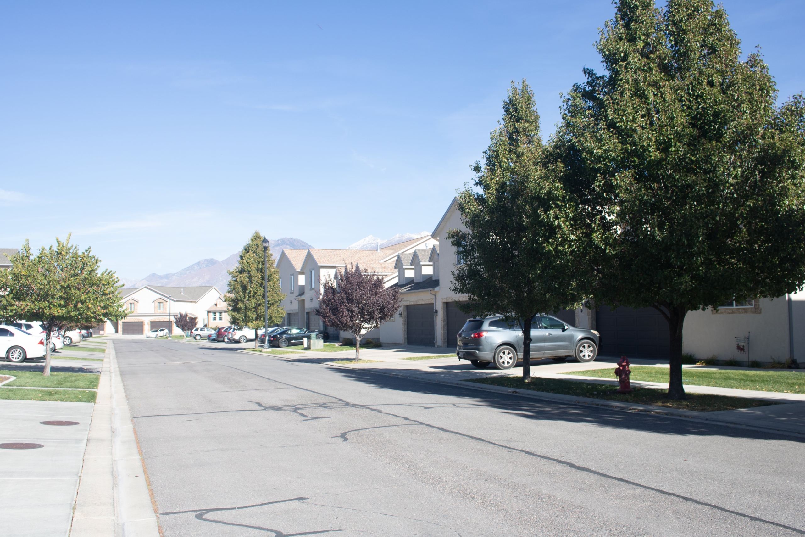 Somerset community photo 12