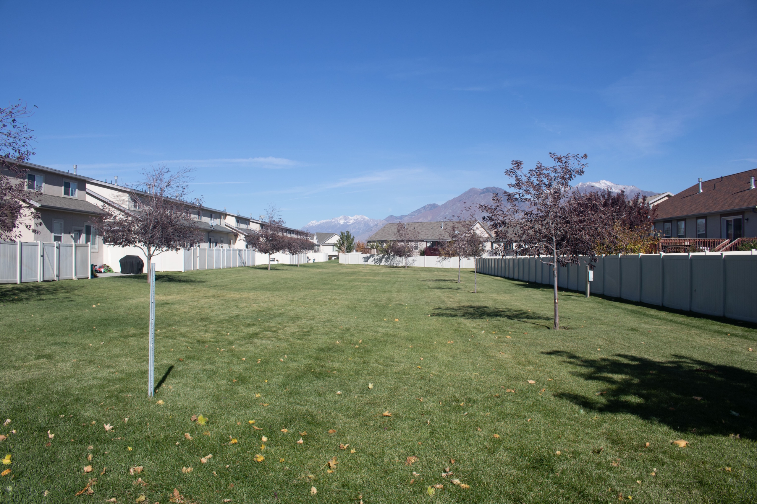 Somerset community photo 3