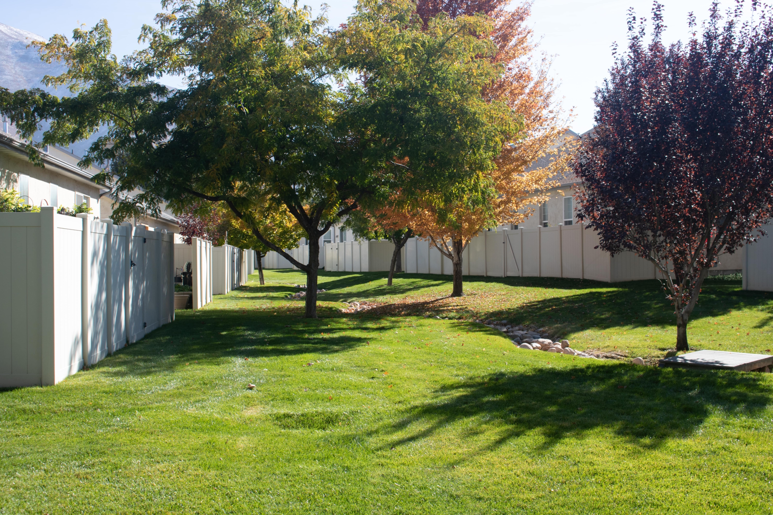 Somerset community photo 7