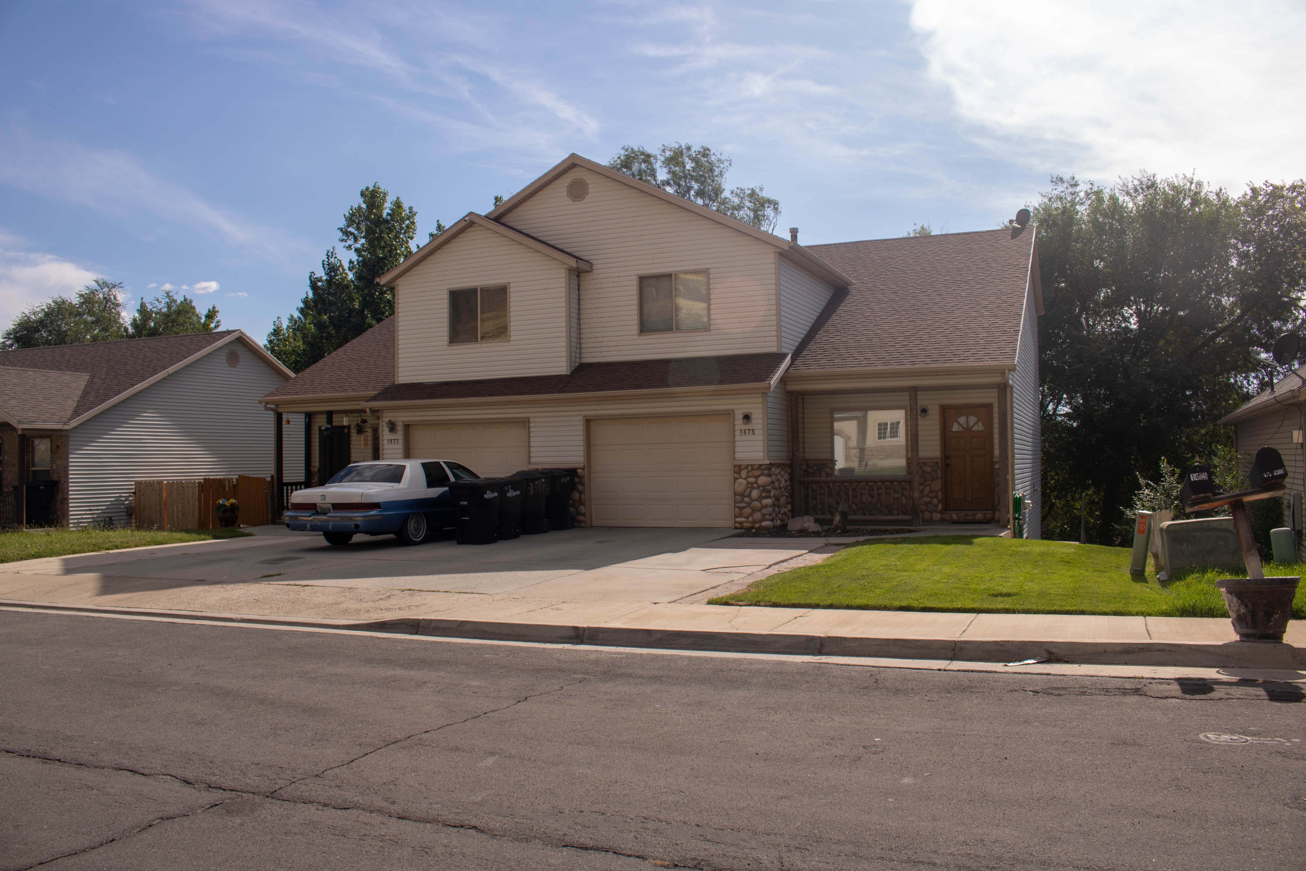 Spring Mountain community photo 3